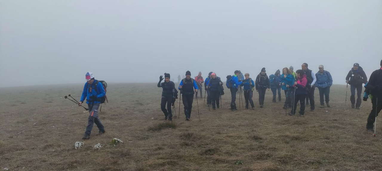 WhatsApp Image 2026-02-10 at 14.47.44 (4)